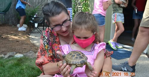 Amy McCarty Chicago, IL Death, Obituary: